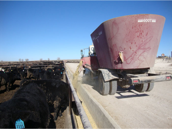 OK Steer Feedout 2
